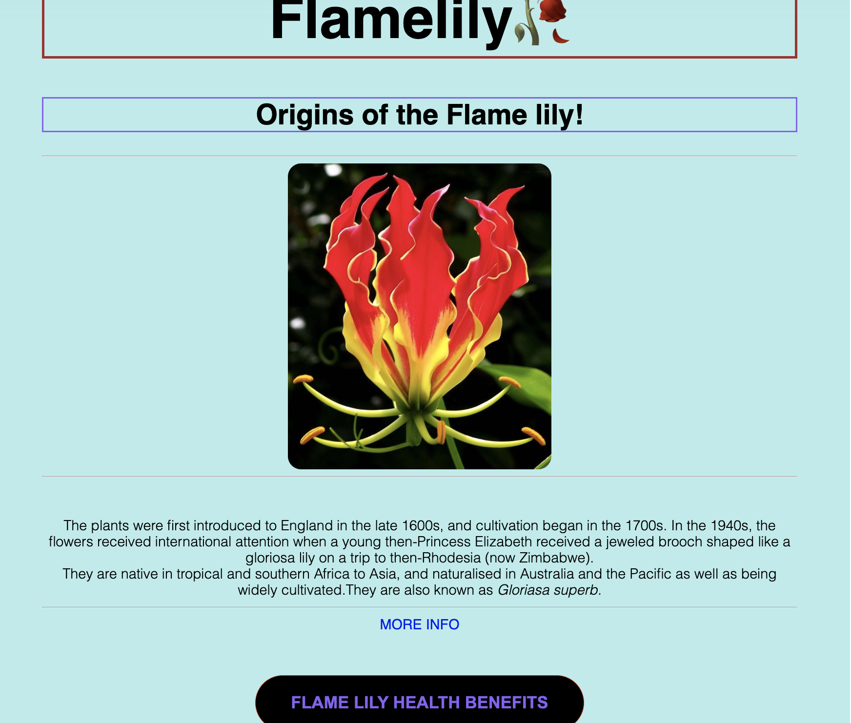 The flamelily